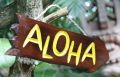 Aloha Schild (Pfeil)