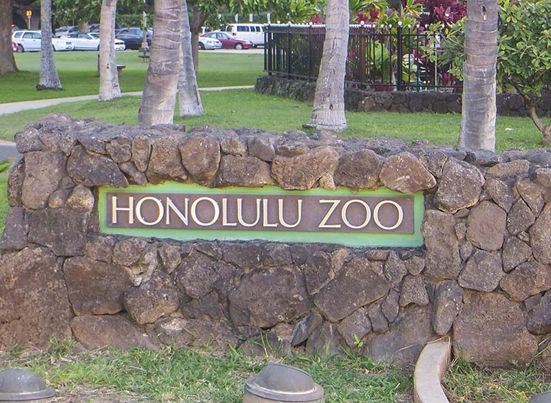Oahu Ausflugstipp: Honolulu Zoo