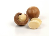 Macadamia