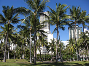 Honolulu, Insel Oahu, Hawaii