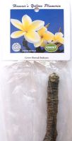 Hawaii's  Plumeria (gelb)