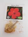 Hawaii's Hibiscus Plant (Hibiskus) rot