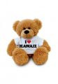 Hawaii Teddy B�r - I love Hawaii (wei�)