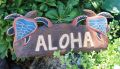 Aloha Schild mit Schildkr�ten (blau)