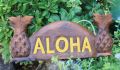 Aloha Schild mit Ananas