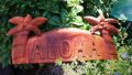Aloha Schild mit Palmen