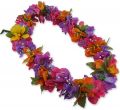 Hawaii Blumenkette Bougainvillea (bunt)