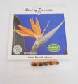Hawaii Bird of Paradise (Samen)
