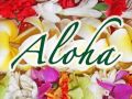 Hawaii Gru�karte Aloha